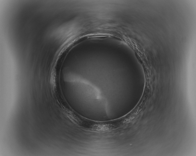 X0000116610295200912181212