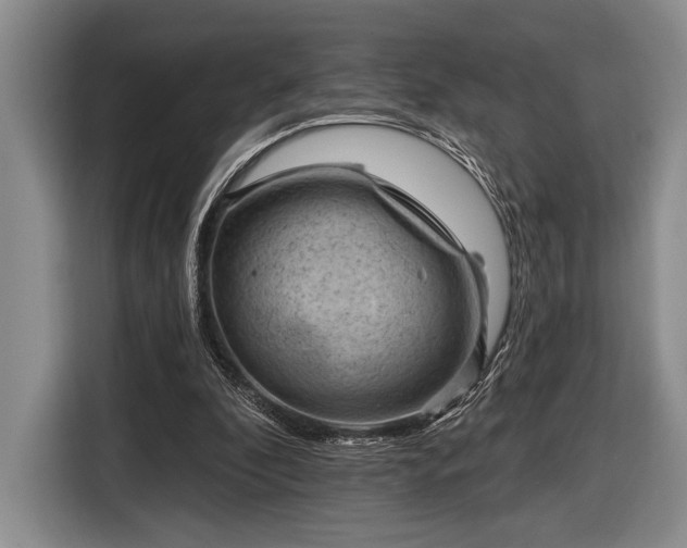 X0000116610296200912181212