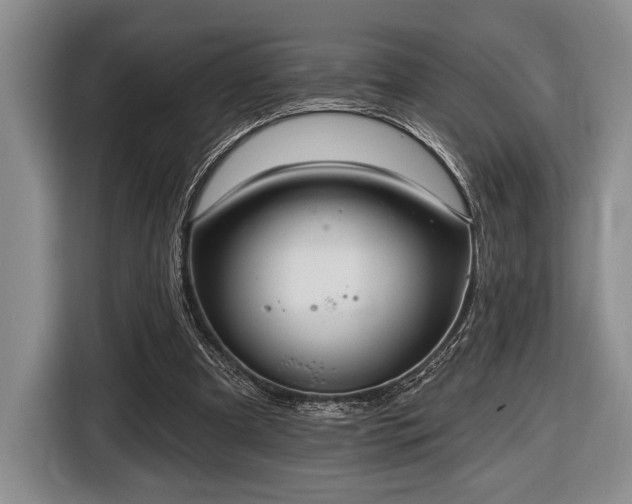 X0000116610297200912181212