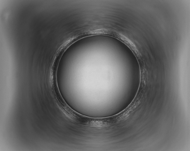 X0000116610298200912181212