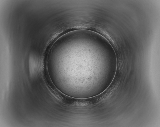 X0000116610299200912181212