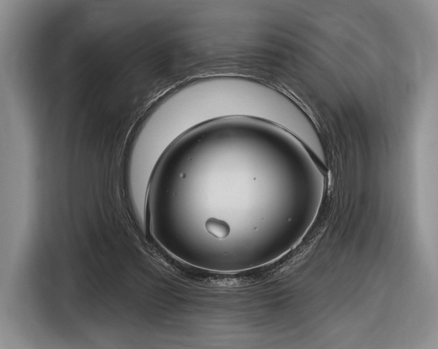 X0000116610301200912181212