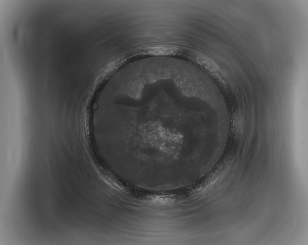 X0000116610303200912181212