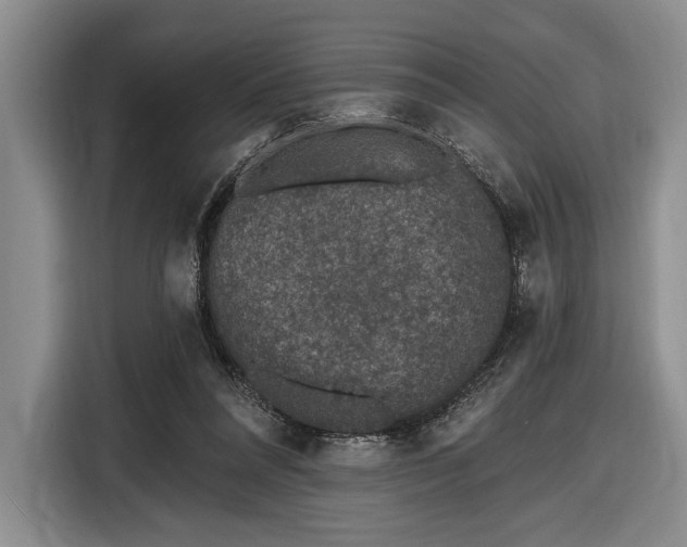 X0000116610304200912181211