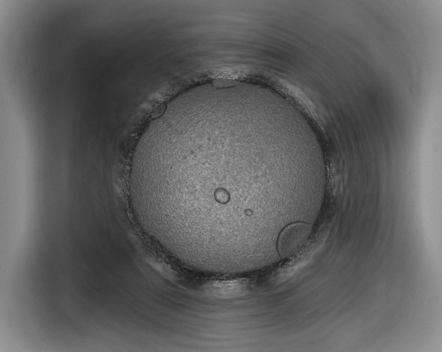 X0000116610307200912181211