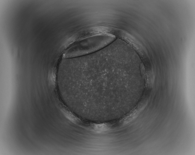 X0000116610309200912181211