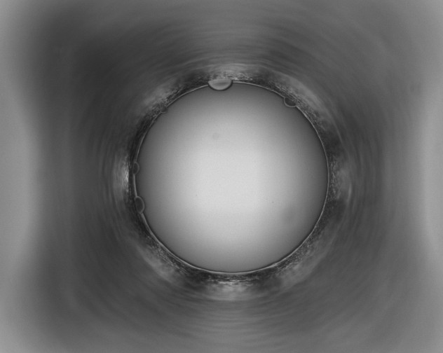 X0000116610310200912181211