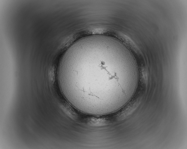 X0000116610311200912181211