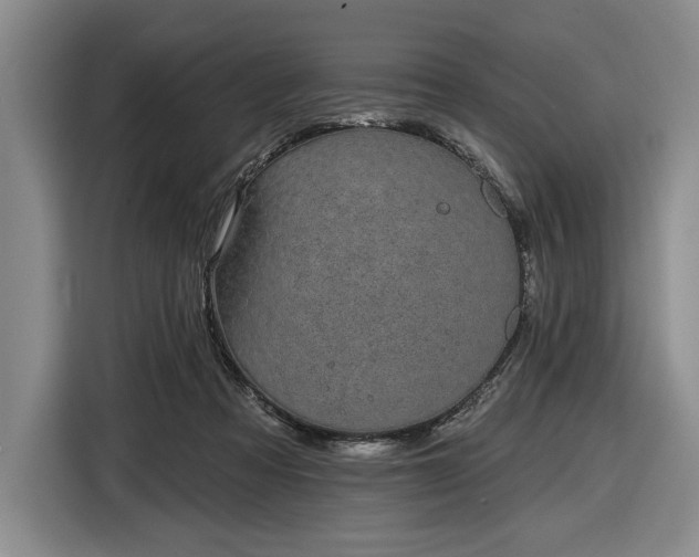 X0000116610313200912181211