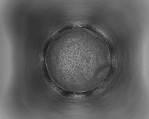 X0000116610314200912181211