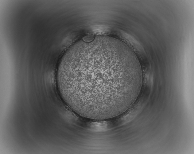 X0000116610317200912181211