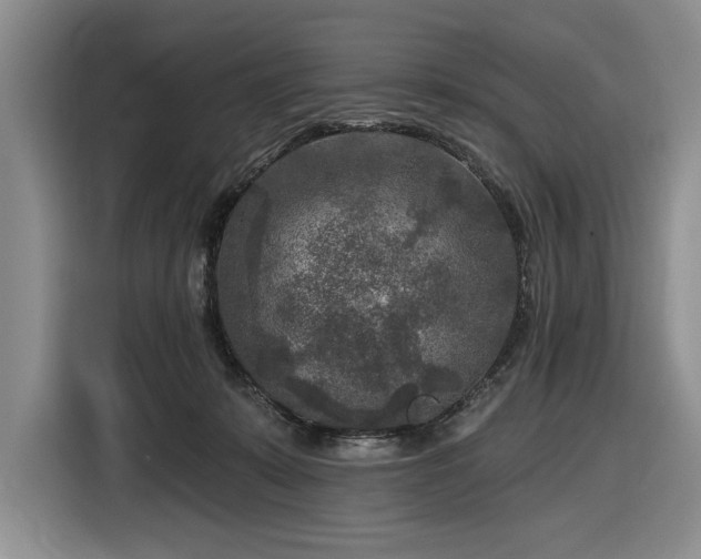 X0000116610319200912181211