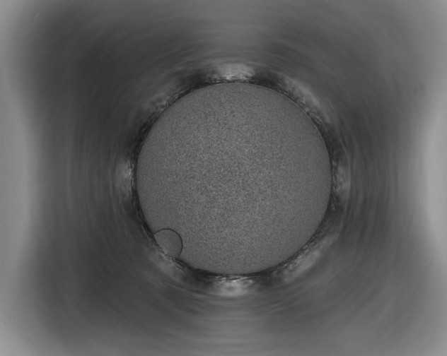 X0000116610321200912181211