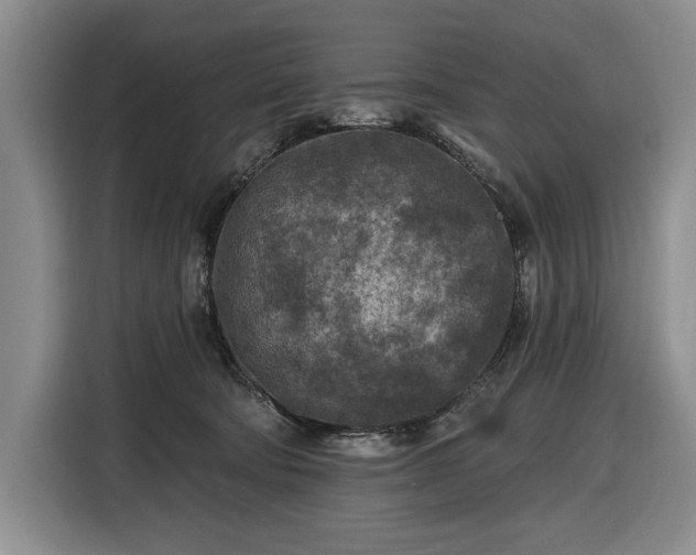 X0000116610322200912181211