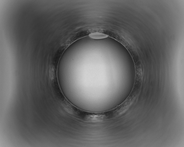 X0000116610323200912181211