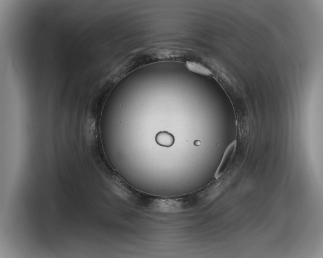 X0000116610327200912181211