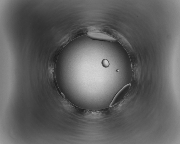 X0000116610329200912181211