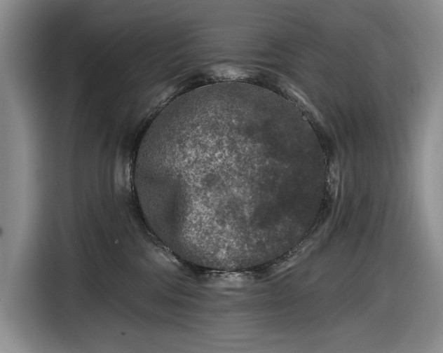 X0000116610330200912181211