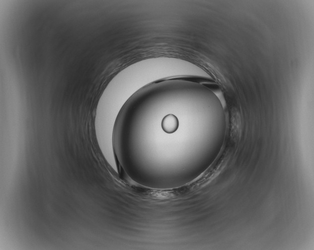 X0000116610333200912181211