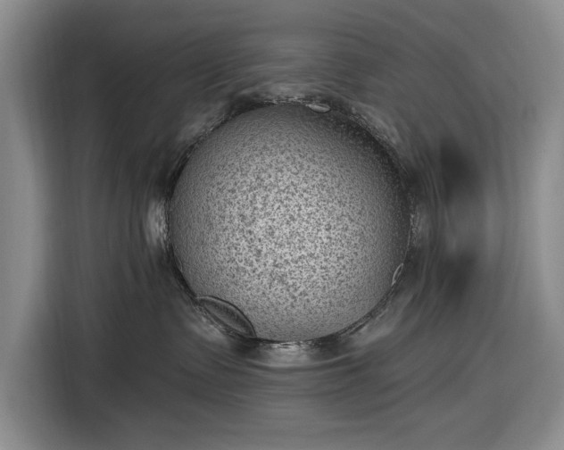 X0000116610335200912181211