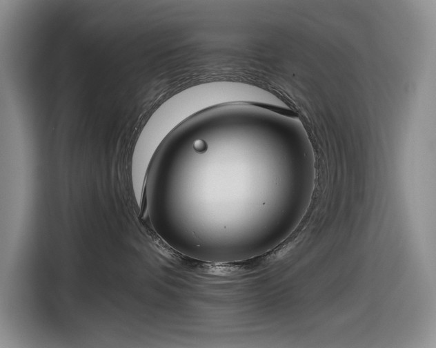 X0000116610336200912181211