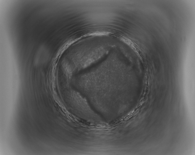 X0000116610337200912181210