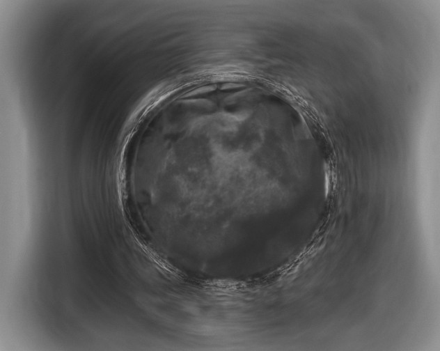 X0000116610339200912181210