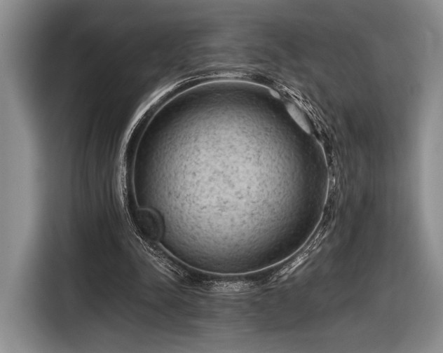 X0000116610342200912181211