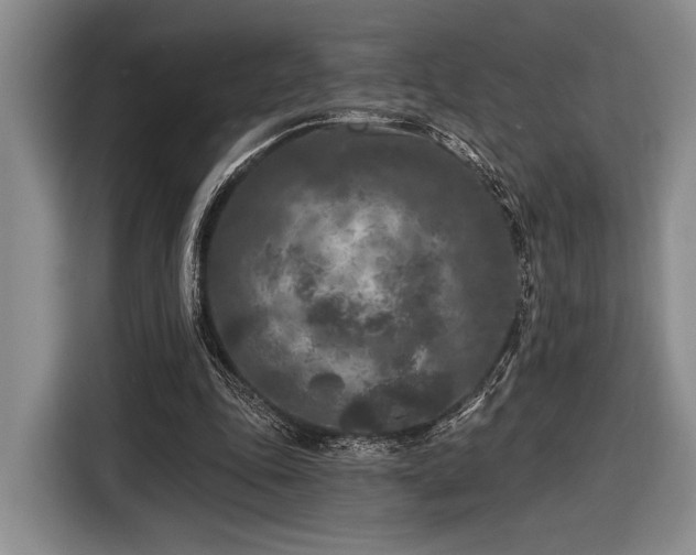 X0000116610343200912181211