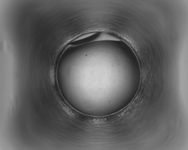 X0000116610345200912181211