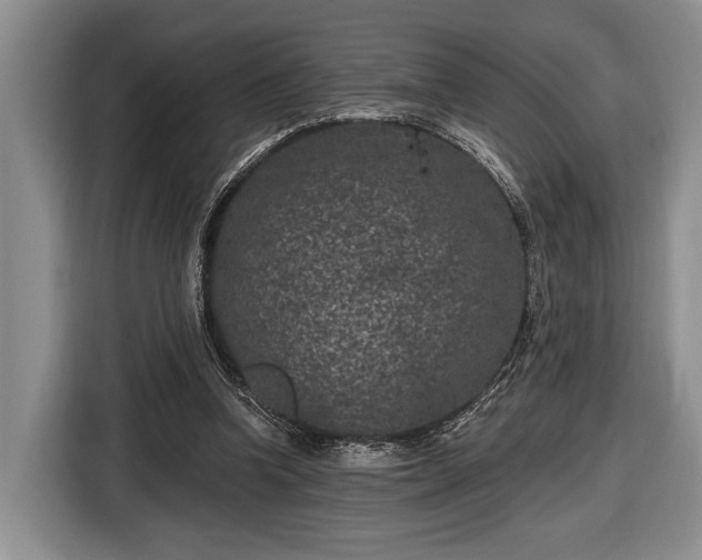 X0000116610346200912181211