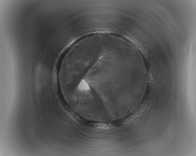 X0000116610347200912181211