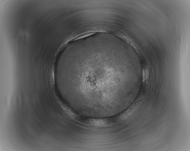 X0000116610349200912181211