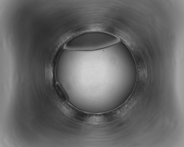 X0000116610350200912181211