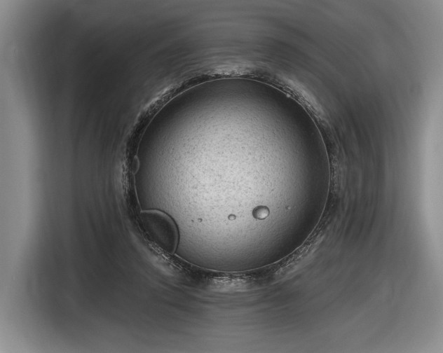 X0000116610354200912181211