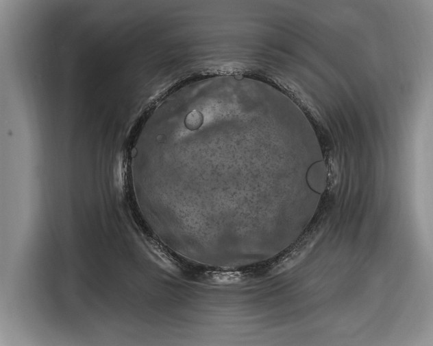 X0000116610355200912181211