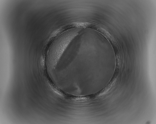 X0000116610357200912181211