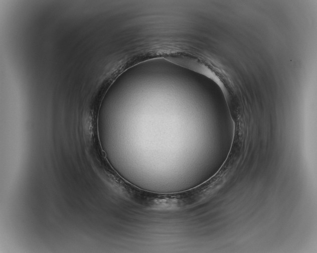 X0000116610362200912181211