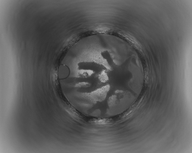 X0000116610365200912181211