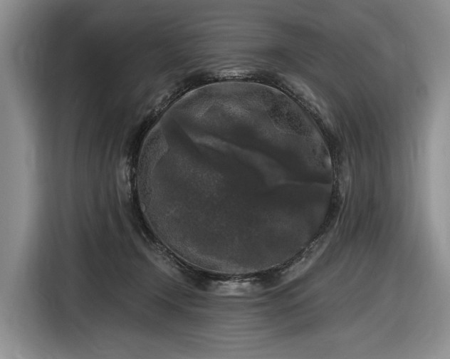 X0000116610366200912181211