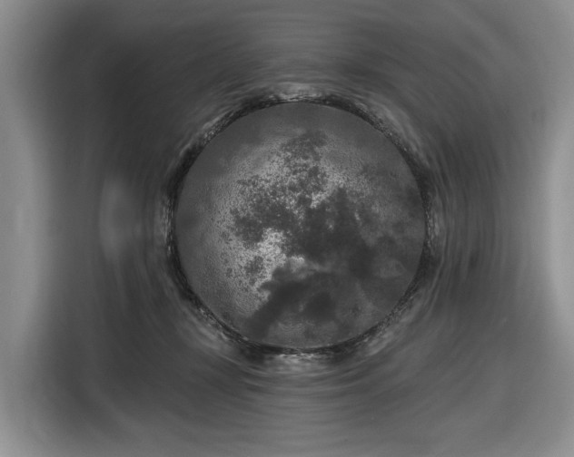 X0000116610367200912181211