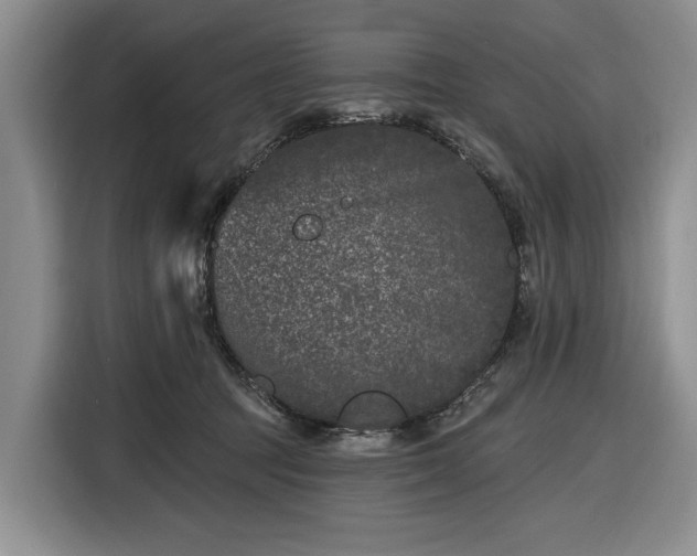 X0000116610369200912181211