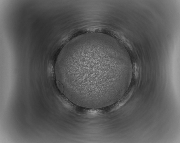 X0000116610375200912181211