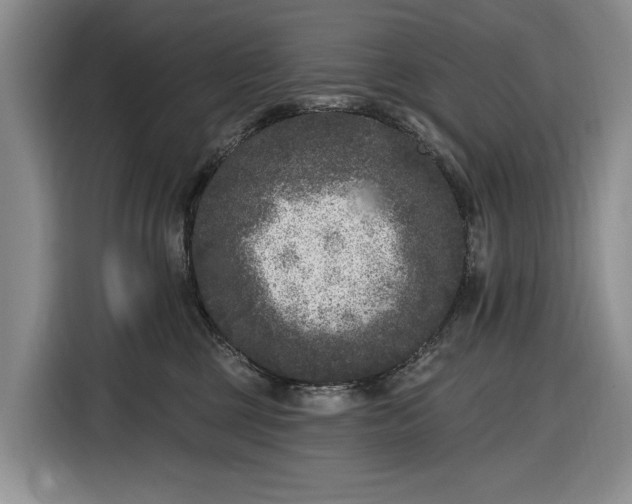 X0000116610377200912181211