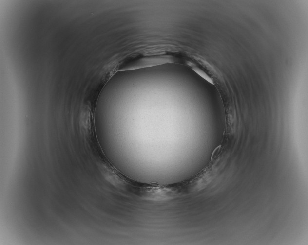 X0000116610379200912181211