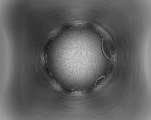 X0000116610381200912181211