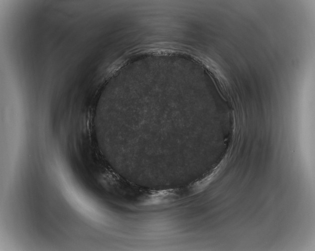 X0000116610382200912181211