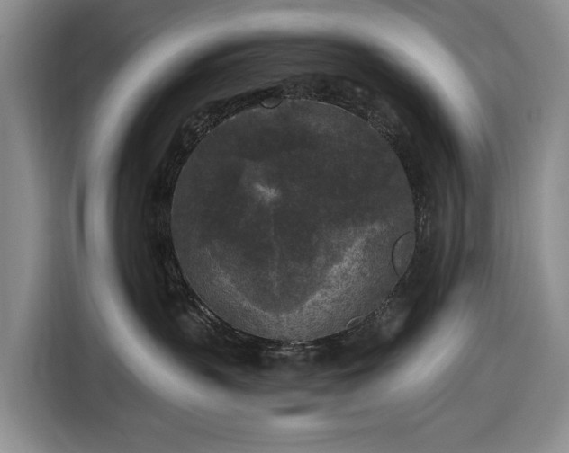 X0000116610383200912181211