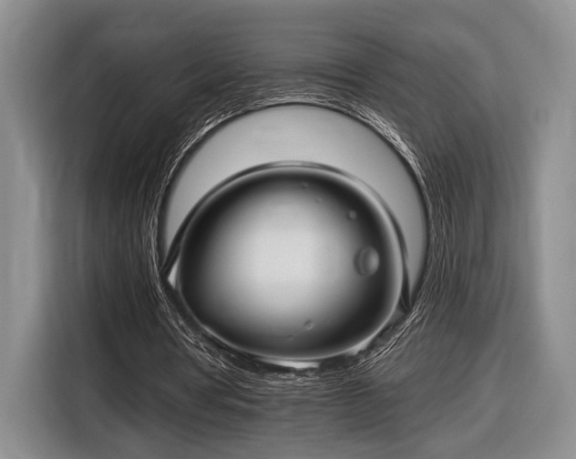 X0000116610386200912181210