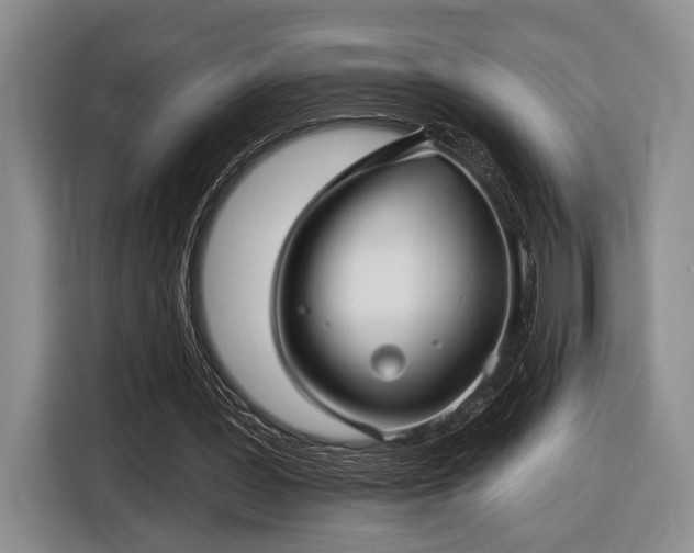 X0000116610387200912181210